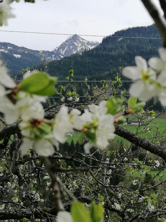 Ferienwohnung Weissacher Lend Dış mekan fotoğraf